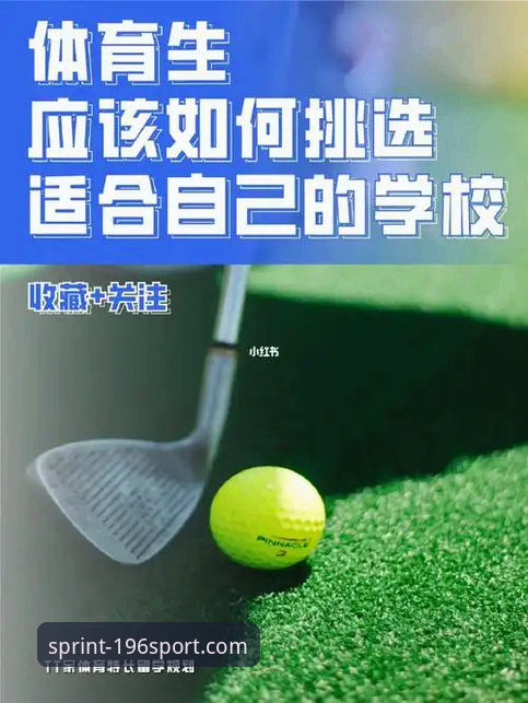 196体育官网下载 vs 官方平台安装:哪个更适合你?全面对比与教程指南